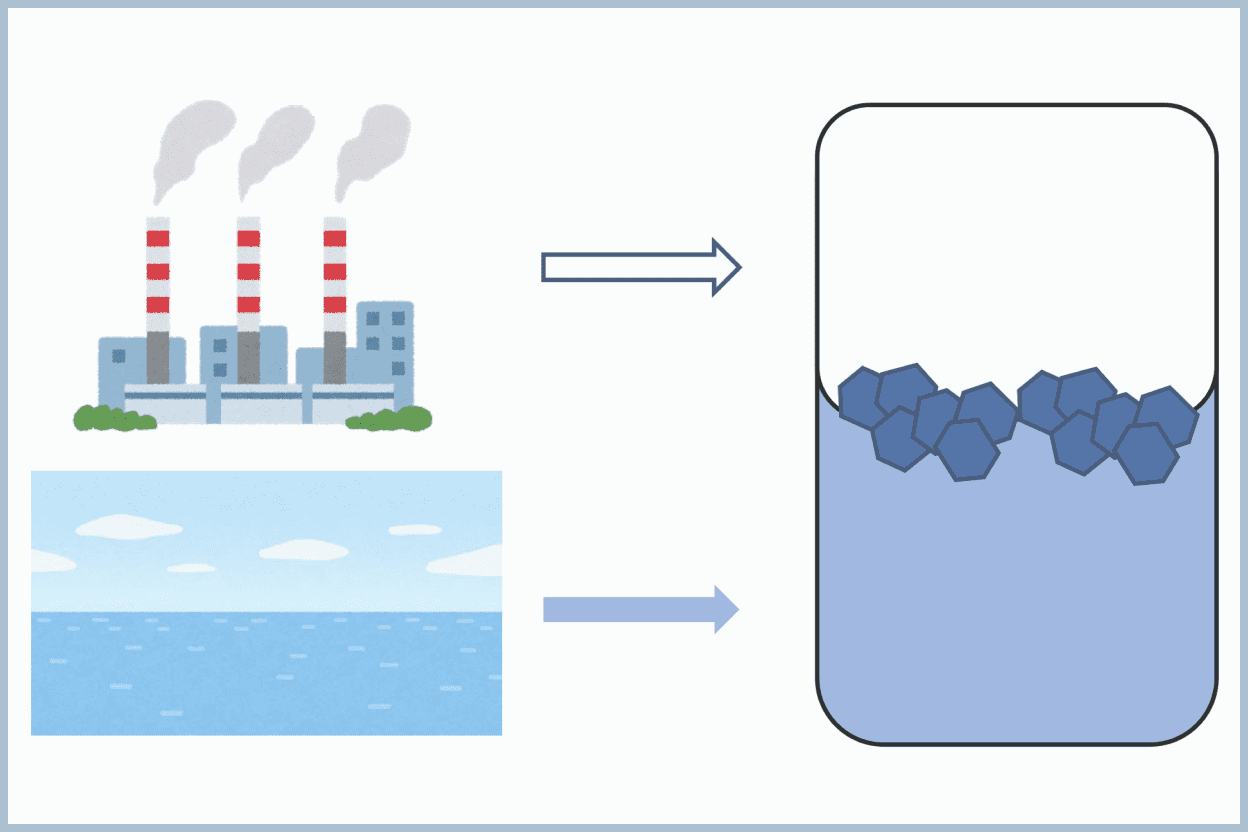Carbon Dioxide Capture and Sequestration