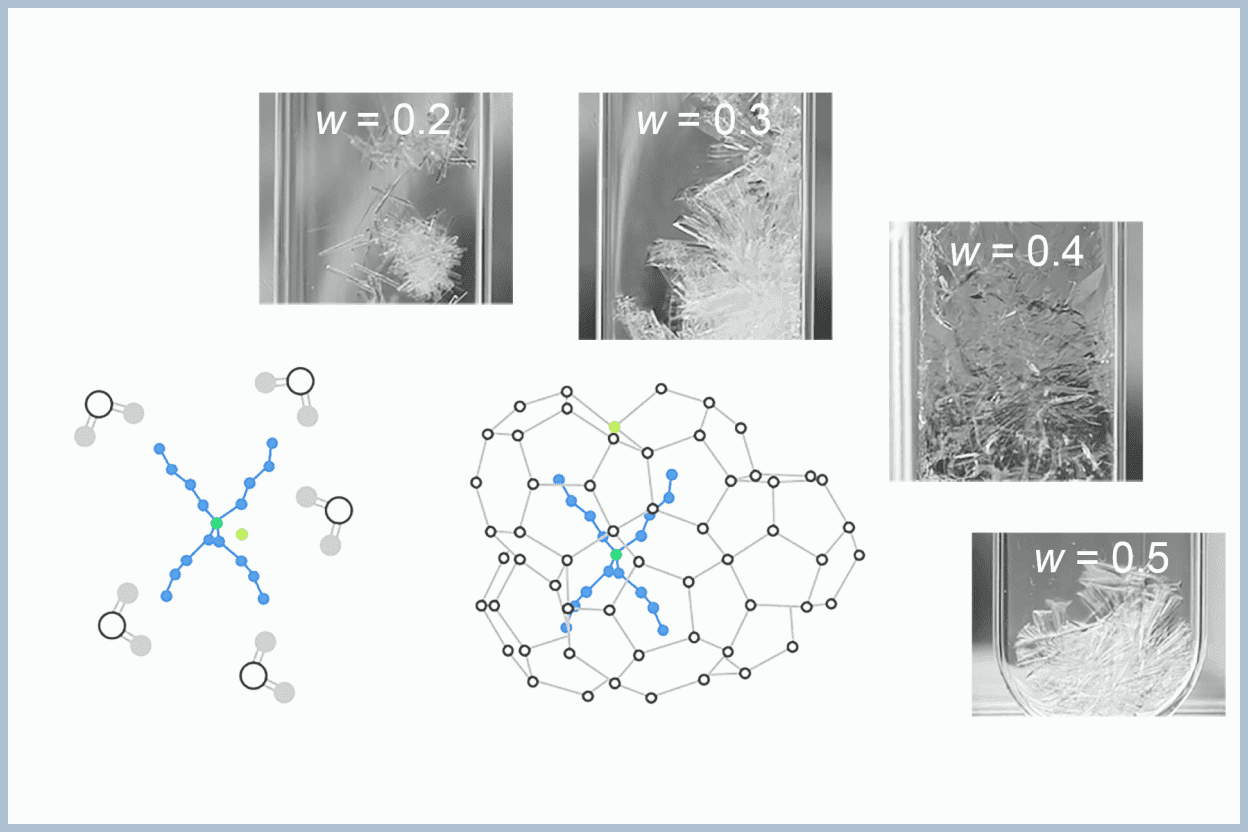 Laboratory Experiments